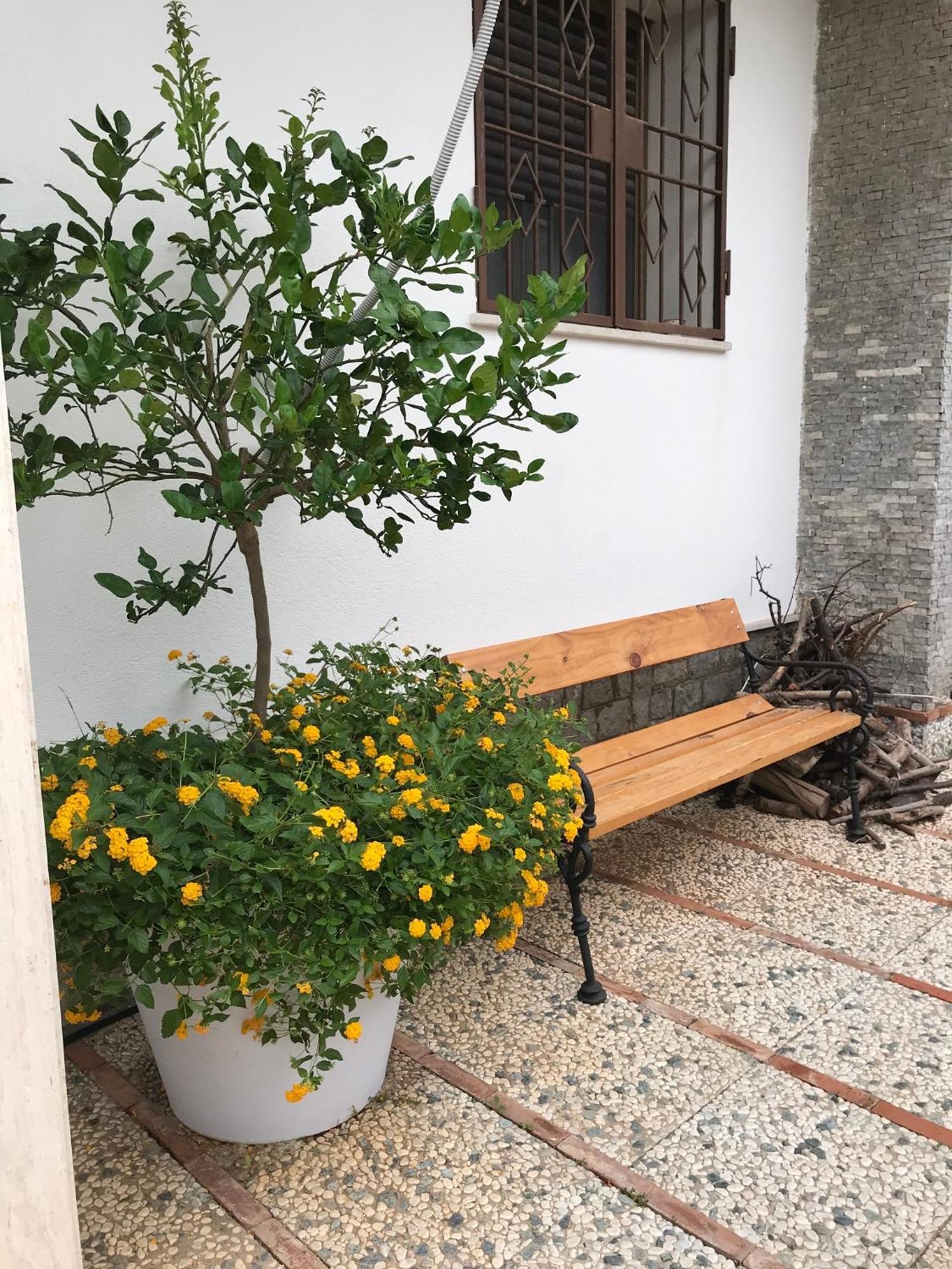 Holiday & House - Imparato Carini Costa Verde エクステリア 写真